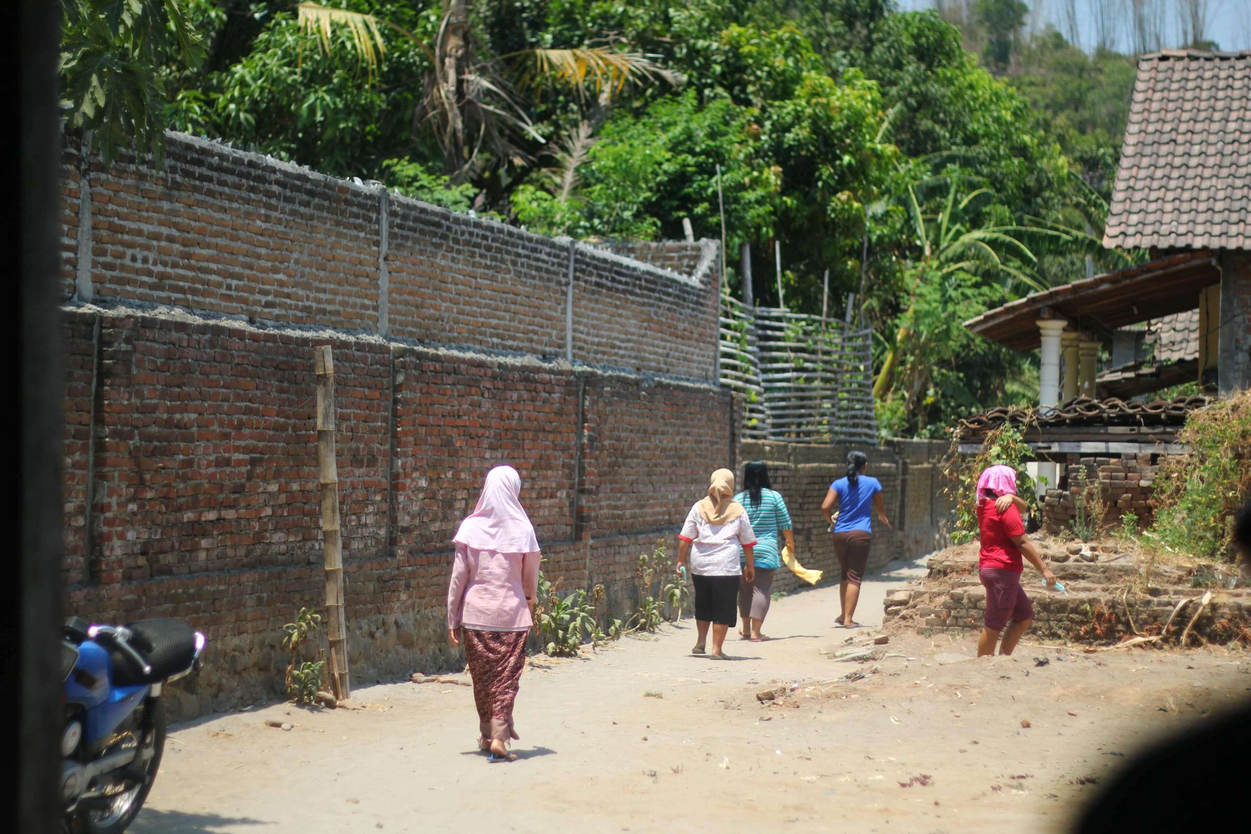 Village women