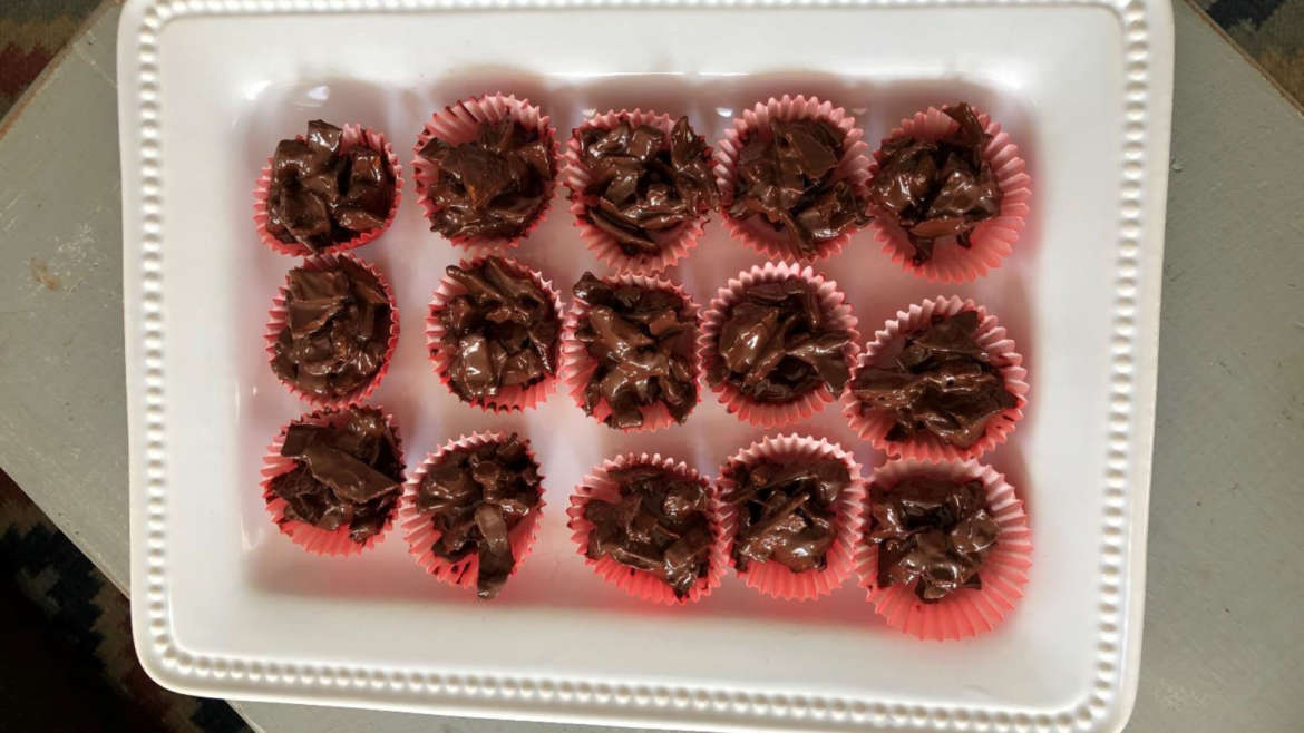 Dark Choco-Mango Delights